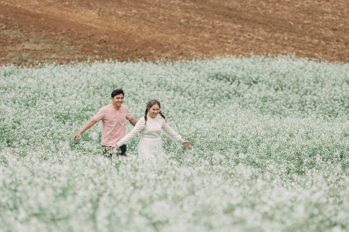 Hoa cải trắng ở Mộc Châu không nở lẻ tẻ mà theo từng cánh đồng phủ trắng các sườn núi, quả đồi, bản làng, thung lũng,…Ảnh: Ngựa Hoang