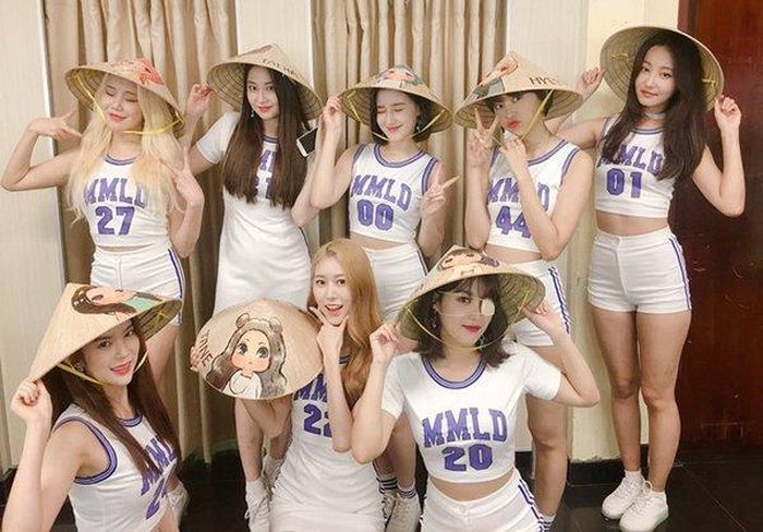 Momoland từng tham gia nhiều hoạt động tại Việt Nam