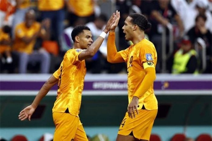 Virgil van Dijk cho rằng Real Madrid, chứ không phải MU, mới đủ tầm chiêu mộ Gakpo
