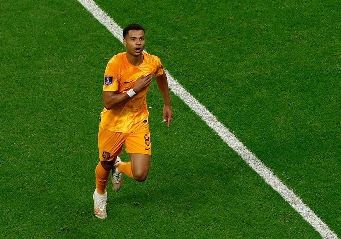  Cody Gakpo đang được công chúng quan tâm khi tỏa sáng tại World Cup 2022, nhưng dữ liệu về cầu thủ này đã được các CLB lớn như MU hay Real Madrid cho vào danh sách theo dõi từ lâu. Ảnh: FIFA. 