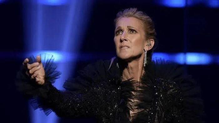 Trước đây, Celine Dion đã từng khiến công chúng lo ngại về thân hình gầy gò đáng báo động