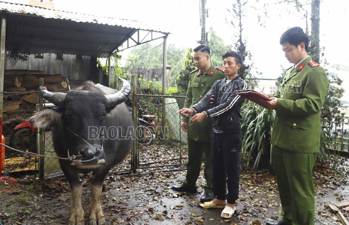 Đối tượng Giàng A Sà cùng tang vật vụ án.