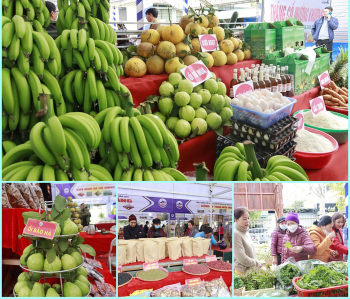 Nhiều mặt hàng nông sản theo mùa vụ của các địa phương được quảng bá, giới thiệu.