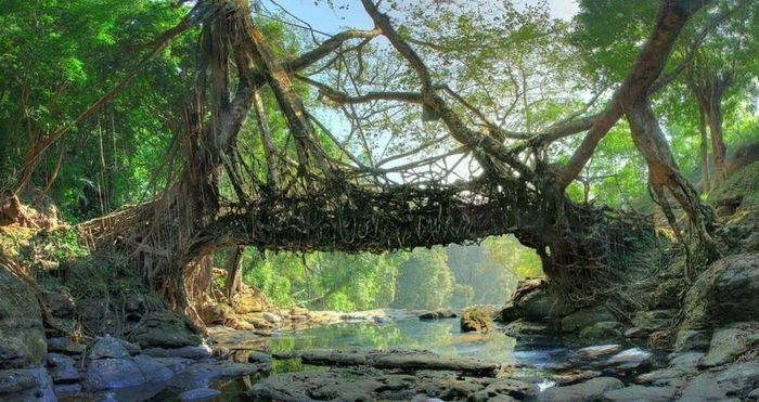  Trẻ em và người lớn cùng nhau dọn dẹp hàng ngày. Vào thứ bảy, đôi khi, trưởng làng cũng sẽ yêu cầu họ dọn thêm như một phần của "công việc xã hội" phải hoàn thành vì "lợi ích cho làng". Có thể nói, sự sạch sẽ đã ăn sâu vào tâm trí người dân nơi đây. Ảnh: Nomadic Weekends. 