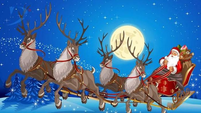 Đàn tuần lộc của ông già Noel đều là giống cái