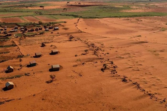 Cát bao quanh những ngôi nhà gần thị trấn Ambovombe, vùng Androy, Madagascar, ngày 15/2. Bốn năm hạn hán, cùng với nạn phá rừng do người dân đốt hoặc chặt cây để lấy than hoặc lấy đất làm nương rẫy, đã biến nơi này thành một vùng đầy bụi cát. (Ảnh: REUTERS)