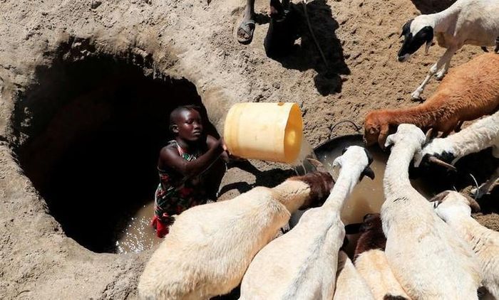 Hạn hán ngày càng trầm trọng ở làng Loyoro, hồ Turkana, Kenya, ngày 28/9. (Ảnh: REUTERS)