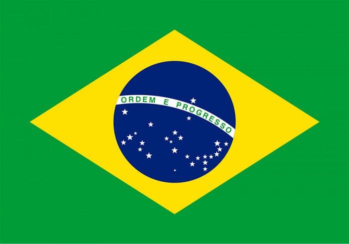 9. Quốc kỳ Brazil có 27 ngôi sao: Quốc kỳ Brazil có màu xanh lá cây với một viên kim cương màu vàng ở trung tâm và một quả địa cầu màu xanh lam. Trên quả địa cầu có 27 ngôi sao màu trắng với một dòng khẩu hiệu chính giữa "Ordem e Progresso", có nghĩa là Trật tự và Tiến bộ.