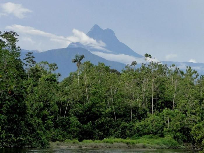 4. Ngọn núi cao nhất của Brazil: Ngọn núi cao nhất của Brazil là Pico de Neblina hay Mist Peak trong tiếng Anh. Điều đáng ngạc nhiên là nó không được phát hiện cho tới gần đây. Pico de Neblina được tìm thấy vào năm 1950 và không cao thêm trong 15 năm sau đó.