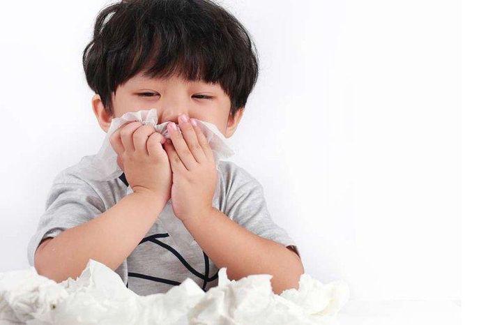 Ảnh minh họa. Nguồn: Internet