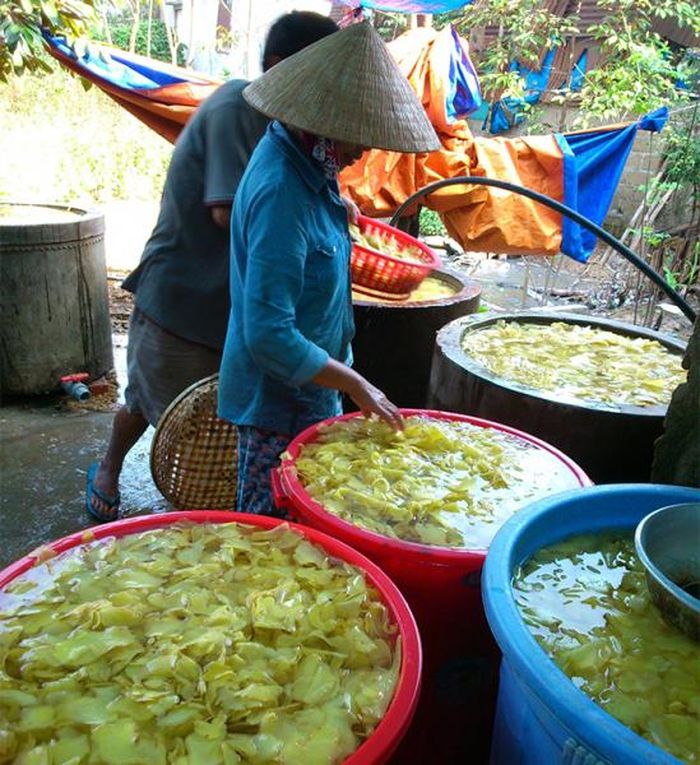 Chế biến mứt gừng ở làng Kim Long góp phần cho nhiều lao động ở địa phương có việc làm và thu nhập.