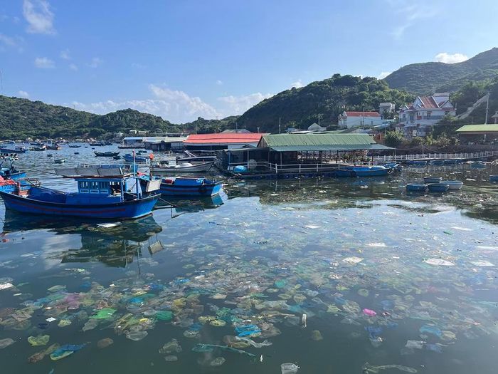 “Chúng tôi đã nghĩ đến việc mua tàu chuyên cào rác nhưng mỗi năm rác chỉ xuất hiện khoảng 4 tháng. Sau khi cào sạch thì 8 tháng còn lại tàu để không sẽ rất lãng phí, tốn chi phí bảo trì. Do đó, địa phương sẽ đẩy mạnh công tác tuyên truyền để nâng cao ý thức người dân” - Chủ tịch UBND xã Cam Bình chia sẻ.