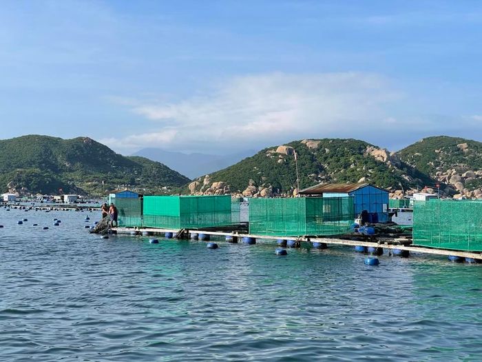 Tuy nhiên, một số chủ bè và những người làm thuê trên bè chưa thực sự có ý thức bảo vệ môi trường nên vẫn xả rác thải ra biển. Đặc biệt, tình trạng ném túi nhựa xuống biển sau khi cho tôm ăn vẫn thường xảy ra. 