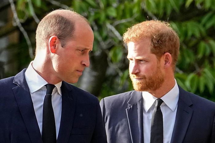 Harry tố William bắt nạt anh và vợ buộc họ lựa chọn rời khỏi gia đình hoàng gia. Ảnh: AP.