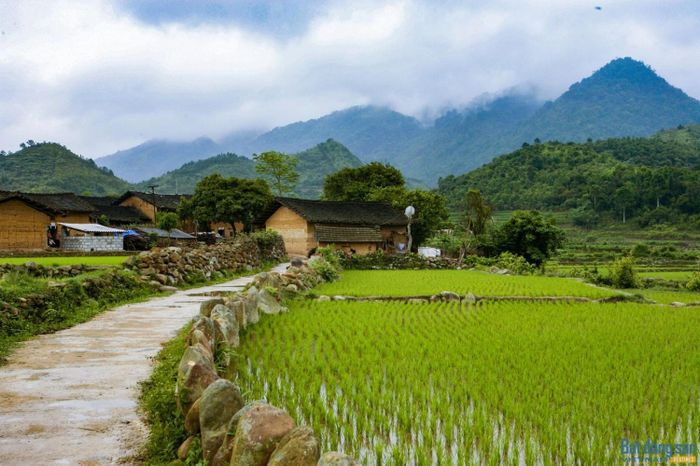 Những hàng rào bằng đá chạy dài từ trong làng ra đến cánh đồng. Ảnh: Realtimes