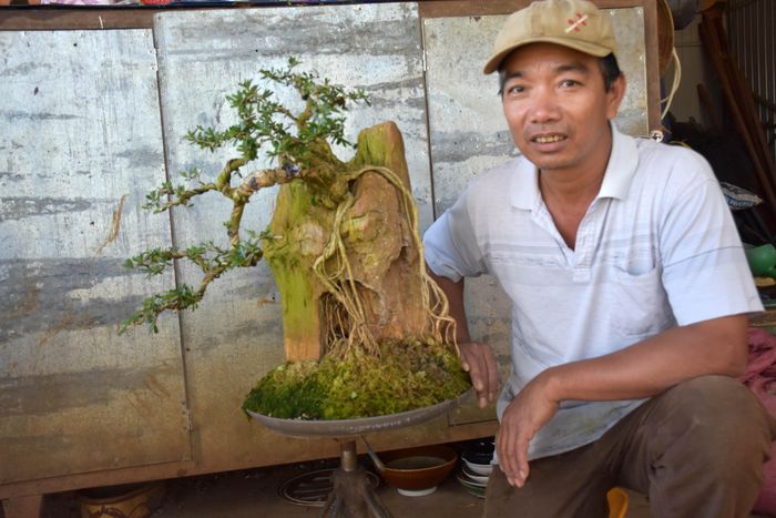 Anh Lê Quang (tổ 6, phường Thắng Lợi, TP. Pleiku) bên cây sam đá. Ảnh: Hà Phương