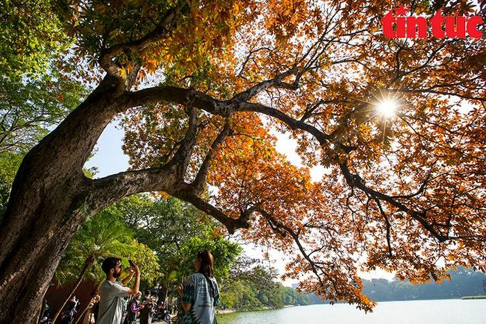 Mỗi khoảnh khắc đều được ghi lại theo dòng thời gian.