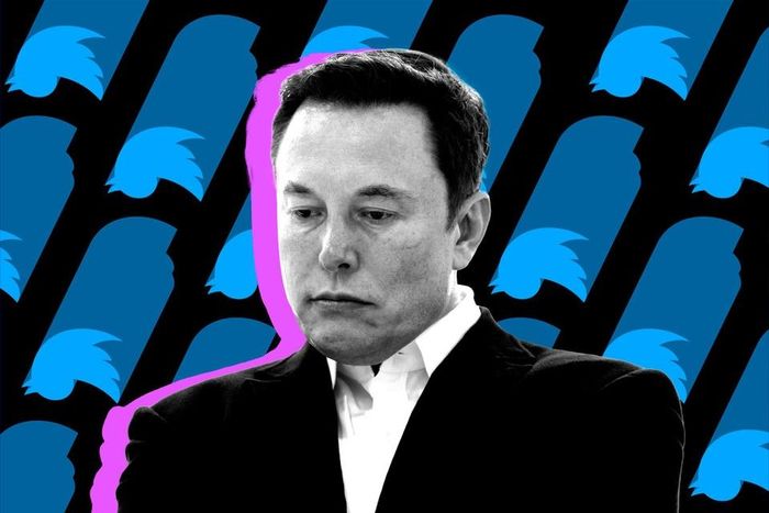 Elon Musk gặp hàng loạt rắc rối tại Twitter. Ảnh: The Verge.