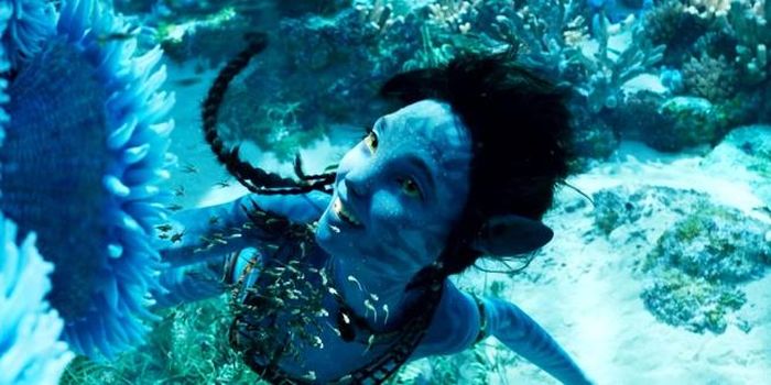 "Avatar 2" khám phá tộc người Na'vi ở biển với nhiều cảnh quay dưới nước