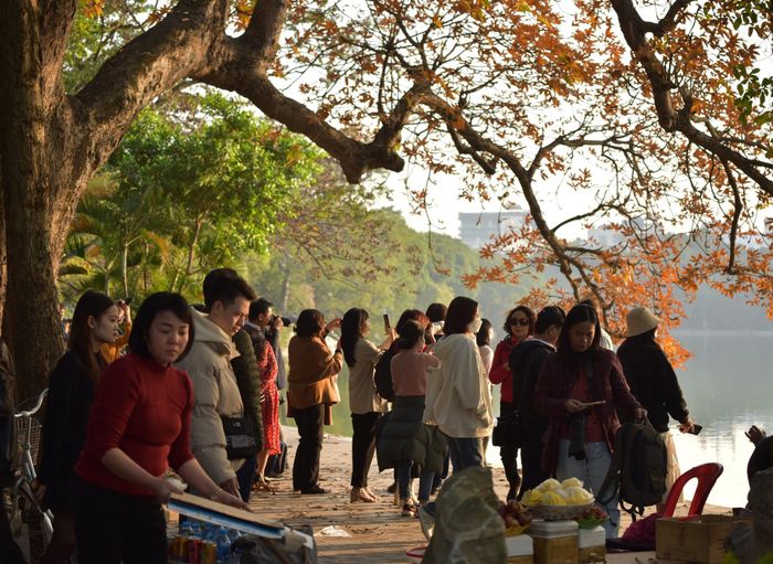 Các nhiếp ảnh và du khách nô nức ghi lại khoảnh khắc cây mõ đổi màu lá
