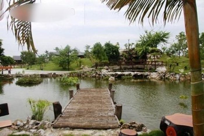 Gia chủ đã bỏ tiền để tạo một quả đồi trong khuôn viên để tạo điểm nhấn; hồ cá cảnh; khu vực trồng tùng, cây cảnh, hòn non bộ xen kẽ. Ảnh: TTVN