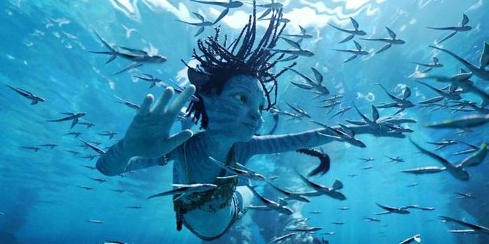 "Avatar 2" khám phá rạn san hô ở hành tinh Pandora