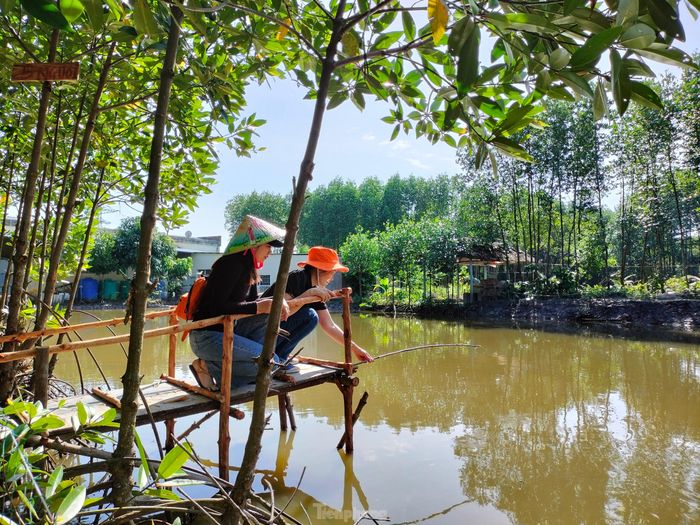 Theo lời anh Xia, khi cắm câu xong, du khách đi trên bờ quan sát, hễ nhìn thấy dây câu kéo thẳng, cần câu nhịp nhịp là cua đang ăn mồi. Người đi câu nhẹ nhàng bước xuống mé nước, một tay nhổ cần câu, tay kia cầm vợt thủ sẵn.