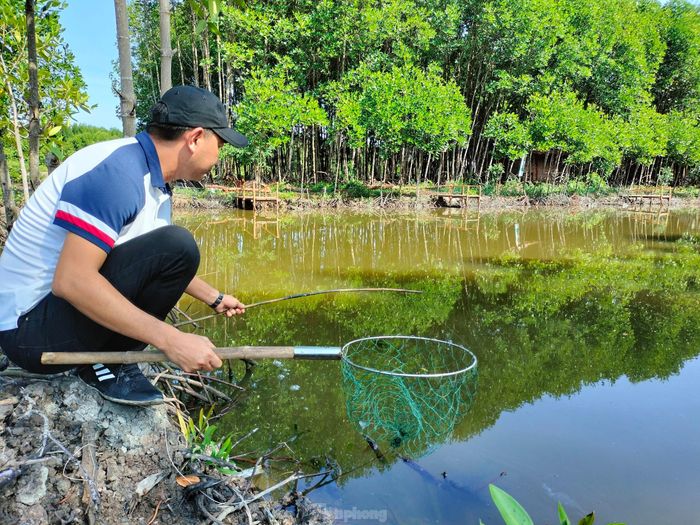 Muốn vợt được cua phải nương theo chúng, từ từ đưa lên. Cua mê ăn, bỏ chân bám đất, càng kẹp chặt con mồi, theo đà kéo từ từ trồi lên mặt nước. Vừa thấy càng cua hiện ra, người câu dùng vợt xúc thật nhanh, là tóm gọn.