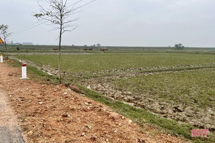 Do khu vực diễn ra lễ khởi công cao tốc Bắc - Nam đều là đồng ruộng thấp trũng nên cần khá nhiều thời gian cho công tác chuẩn bị mặt bằng.
