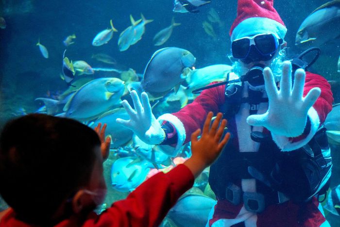  Một thợ lặn mặc trang phục ông già Noel chụp ảnh với trẻ em tham quan tại một thủy cung ở thủ đô Bangkok, Thái Lan. 