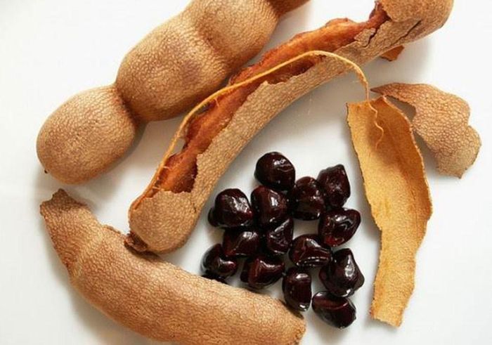 Quả me còn có thể dùng để chữa bệnh rất hiệu quả (Ảnh: Lao Động)