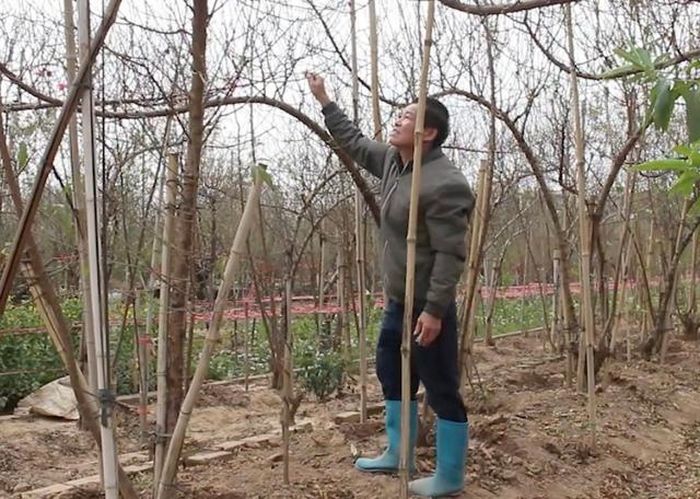 Ông Trần Văn Tuấn tất bật với các công đoạn phục vụ mùa quan trọng nhất trong năm.