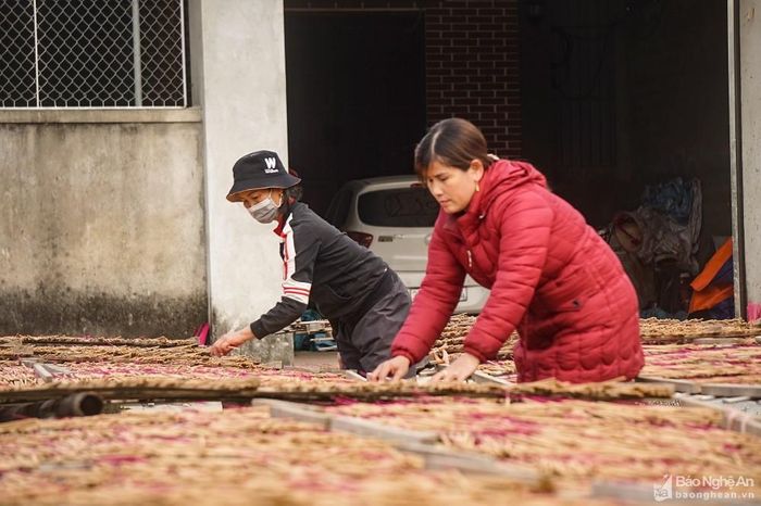 Những tháng giáp Tết, về làng nghề Tây Lân, những “cánh đồng hương” trải dài, như nhuộm sắc cả làng quê. Những bó hương sau khi được đóng gói sẽ được chuyển đi đến các chợ, cửa hàng để phục vụ người dân thắp dịp Tết. Ảnh: Thanh Phúc