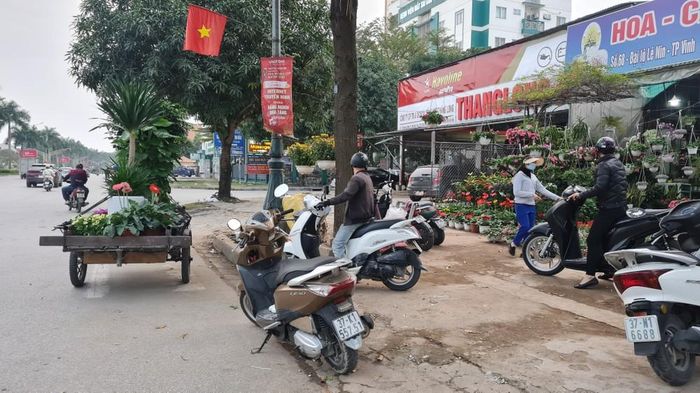 Khách mua hoa Tết đã bắt đầu nhộn nhịp tại các cửa hàng hoa, cây cảnh trên đường Lê Nin. Ảnh: NK