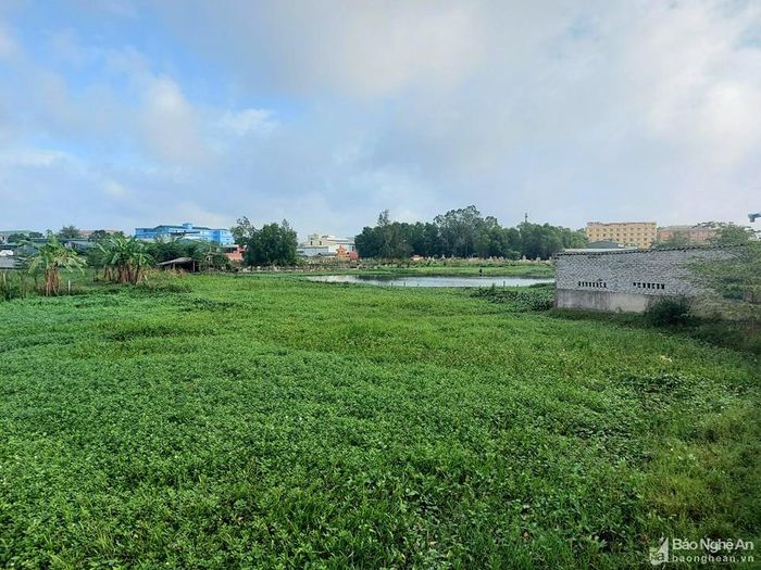 Hiện trạng vùng đất Cơn Mộc, nơi quy hoạch thực hiện Dự án Khu dân cư tại xã Nghi Phú, thành phố Vinh. Ảnh: Nhật Lân