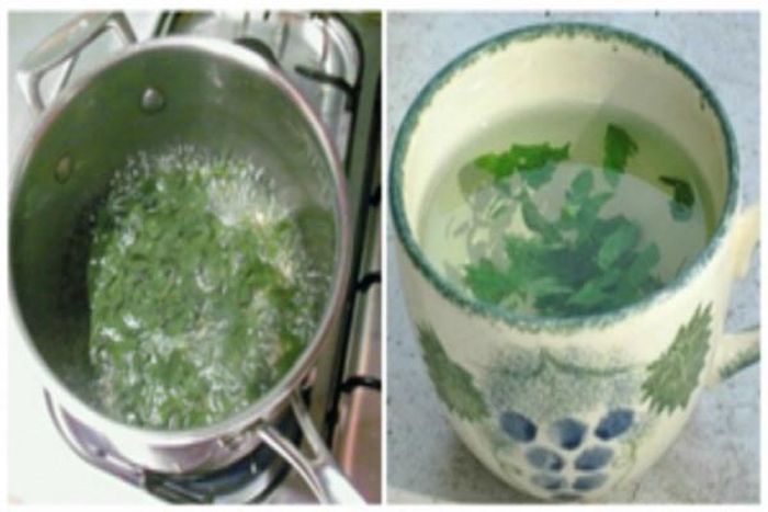Uống nước rau mùi giảm mỡ bụng là cách được nhiều chị em văn phòng ưa chuộng.