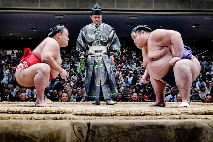 Sumo là môn thể thao mang đậm nét văn hóa Nhật Bản. Ảnh: Lord K2.
