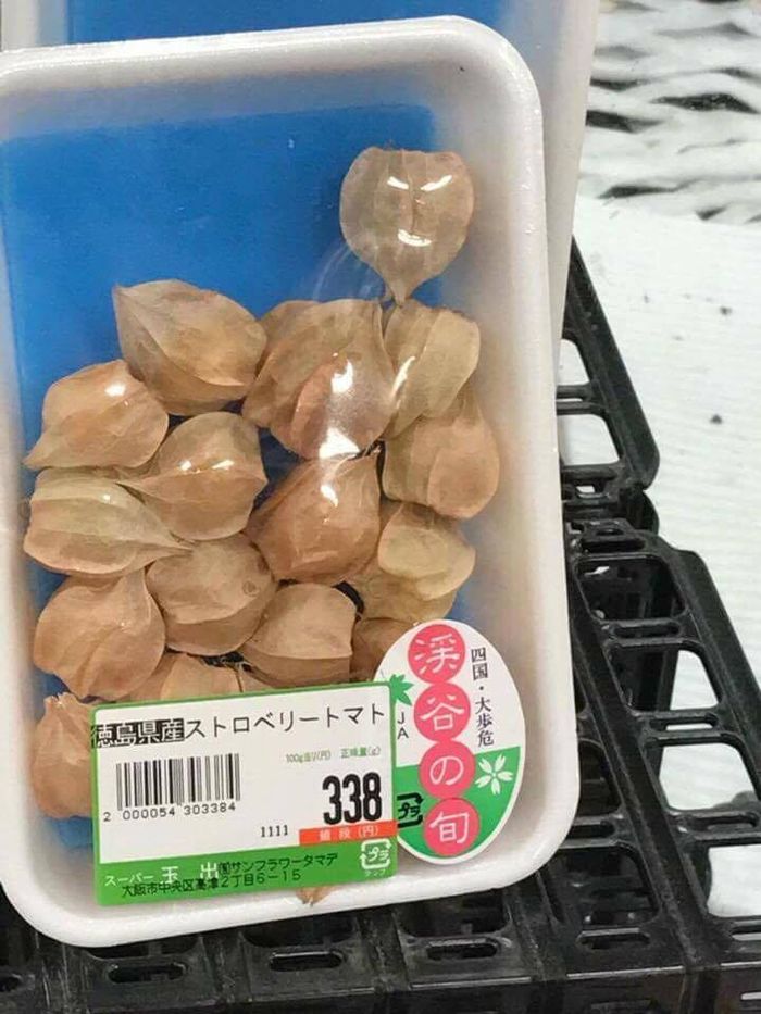 Trái thù lù ở Nhật được nhà phân phối tư vấn là để ăn, nấu canh và dùng như một vị thuốc có tác dụng tiêu đờm, thanh nhiệt…Ảnh: Facebook