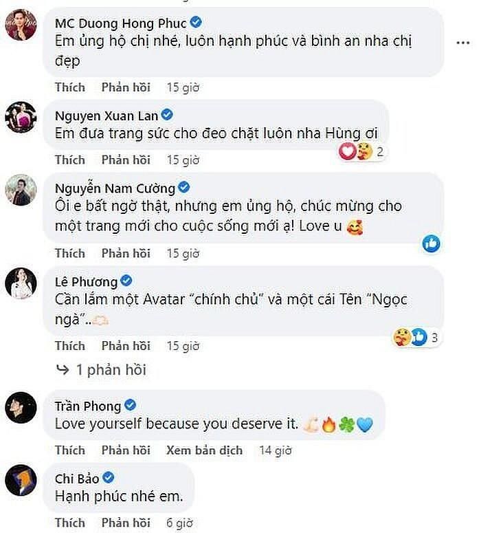 Nhiều nghệ sĩ Việt ủng hộ, động viên Ngọc Hùng dưới phần bình luận.