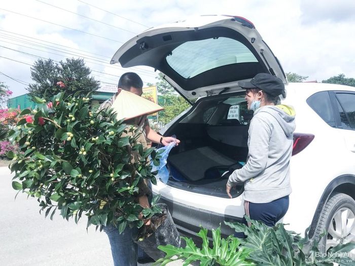 Rất nhiều khách hàng đã sắm hoa Tết từ sớm, tạo nên không khí sôi động cho thị trường hoa cây cảnh Tết. Ảnh: Thanh Phúc