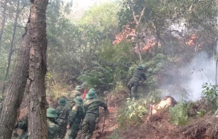 Các lực lượng tham gia dập lửa cứu rừng.