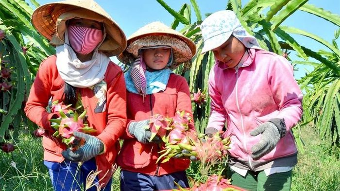  Nông sản là mặt hàng có nhiều thuận lợi khi xuất khẩu sang Trung Quốc.