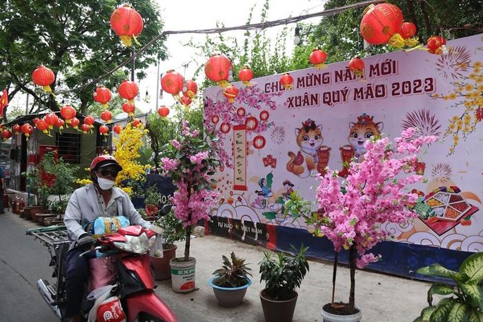 Nhìn con hẻm ngập tràn hoa, tiểu cảnh làm người dân ở đây cũng thấy vui, có chút không khí ngày Tết.