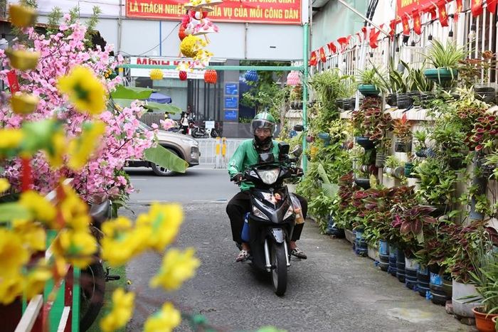 Mặc dù đường hoa mini có làm thu hẹp chút đỉnh bề rộng con hẻm nhưng không ai thấy phiền lòng.