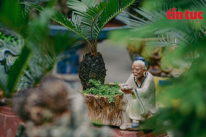 Mỗi cây vạn tuế đều có tên gọi riêng và được gắn thêm những bức tượng nhỏ với các tích truyện quen thuộc.
