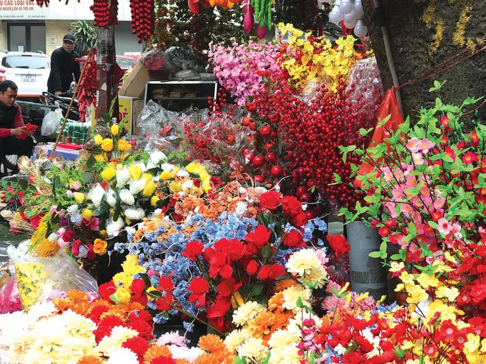 Các loại hoa rực rỡ sắc màu. 