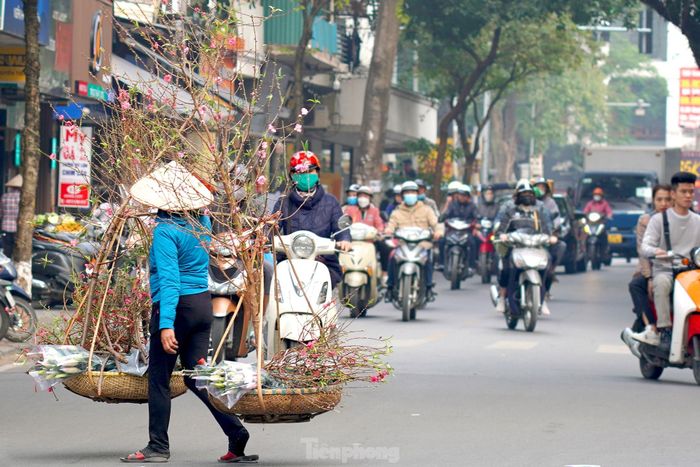  Đối với người dân Hà Nội, ngắm hoa trên phố Hàng Lược vào mỗi dịp xuân về như một thú vui tao nhã. Càng ngày, những thứ xưa cũ càng mai một nhưng chợ hoa Hàng Lược vẫn có sức sống bền bỉ, xen lẫn hiện đại và nét hoài cổ hiếm nơi nào có được. 