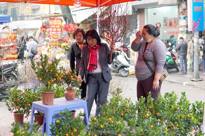  Hà Nội có nhiều chợ hoa truyền thống, chợ hoa Xuân nhưng trong lòng nhiều người, chợ hoa Hàng Lược luôn có chỗ đứng riêng. 