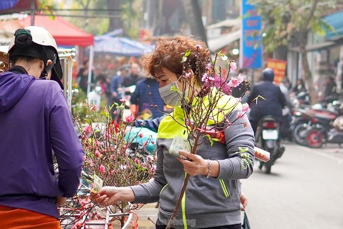  Thời điểm trước ngày 23 tháng Chạp (ông Công ông Táo) mặt hàng hoa được người dân ưa chuộng, bán chạy nhất vẫn là những cây 'đào cành' dạng nhỏ có thể sử dụng trên ban thờ thắp hương sớm cho tổ tiên. 