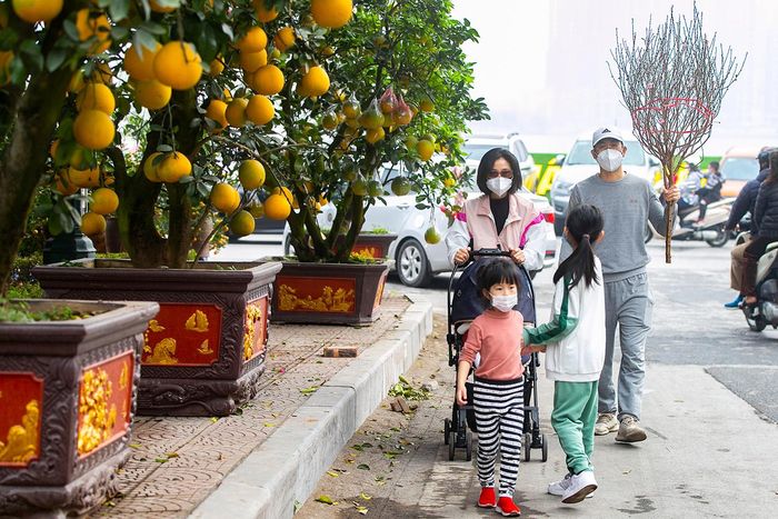 Hình ảnh mang đến không khí Tết Nguyên đán 2023 đã rất gần ở Hà Nội